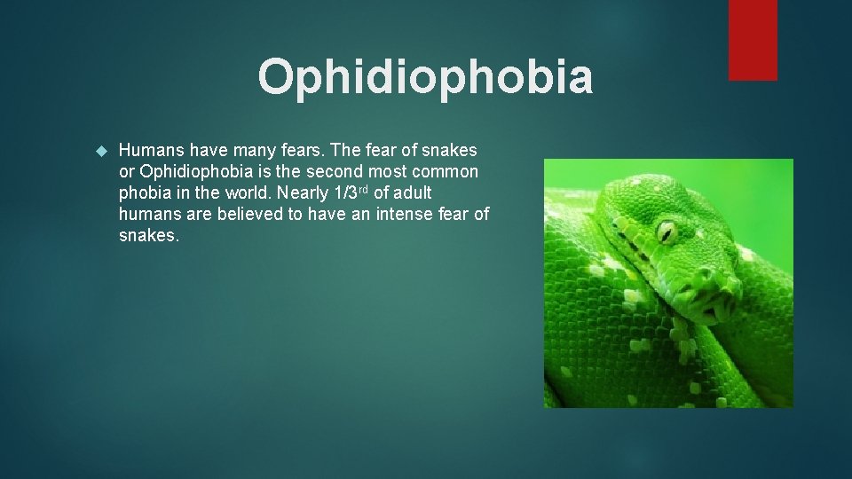 Ophidiophobia Humans have many fears. The fear of snakes or Ophidiophobia is the second