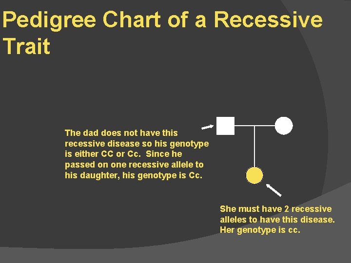 Pedigree Chart of a Recessive Trait The dad does not have this recessive disease