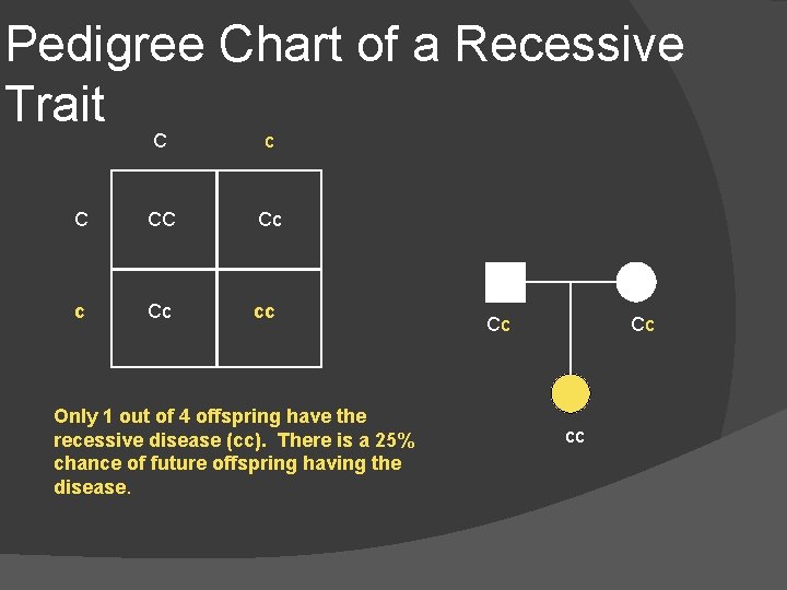 Pedigree Chart of a Recessive Trait C c C CC Cc c Cc cc