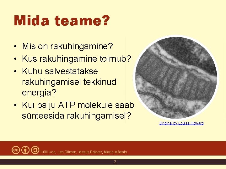 Mida teame? • Mis on rakuhingamine? • Kus rakuhingamine toimub? • Kuhu salvestatakse rakuhingamisel