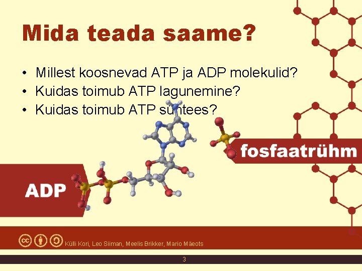 Mida teada saame? • Millest koosnevad ATP ja ADP molekulid? • Kuidas toimub ATP