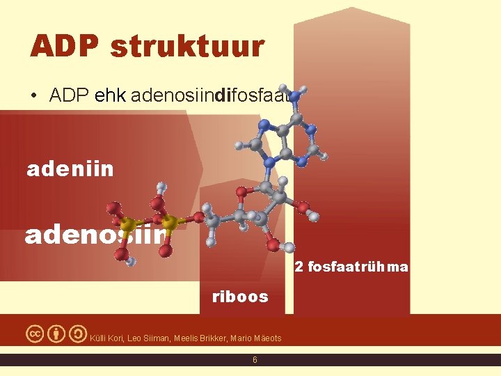 ADP struktuur • ADP ehk adenosiindifosfaat adeniin adenosiin 2 fosfaatrühma riboos Külli Kori, Leo