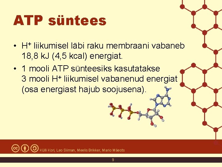 ATP süntees • H+ liikumisel läbi raku membraani vabaneb 18, 8 k. J (4,