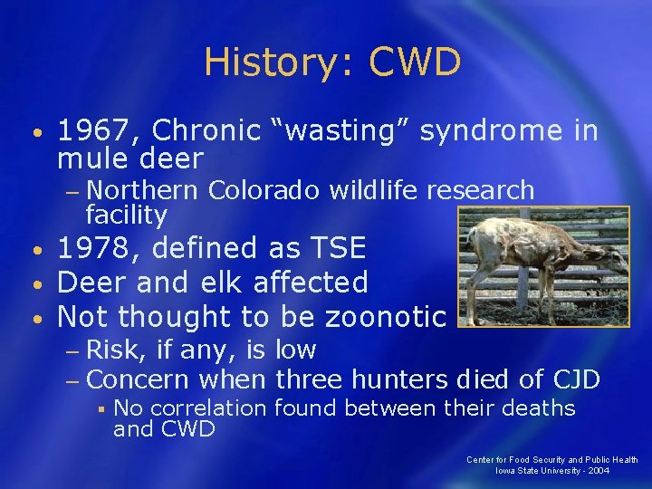 History: CWD • 1967, Chronic “wasting” syndrome in mule deer − Northern facility •