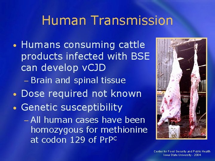 Human Transmission • Humans consuming cattle products infected with BSE can develop v. CJD