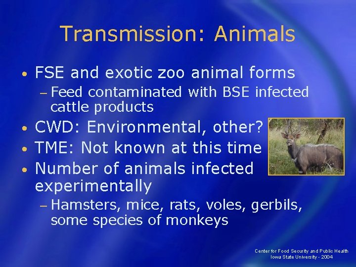 Transmission: Animals • FSE and exotic zoo animal forms − Feed contaminated with BSE