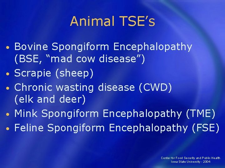 Animal TSE’s • • • Bovine Spongiform Encephalopathy (BSE, “mad cow disease”) Scrapie (sheep)