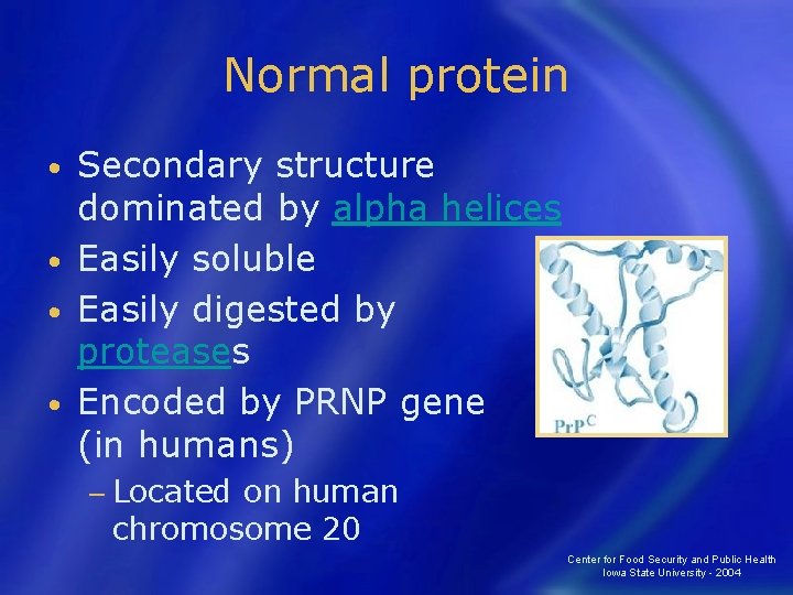 Normal protein Secondary structure dominated by alpha helices • Easily soluble • Easily digested