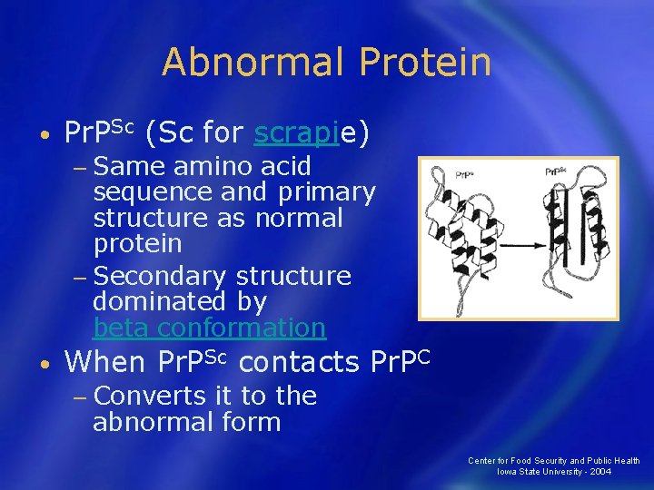 Abnormal Protein • Pr. PSc (Sc for scrapie) − Same amino acid sequence and