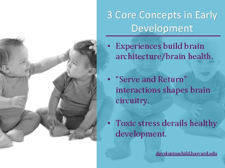 3 Core Concepts in Early Development • Experiences build brain architecture/brain health. • “Serve