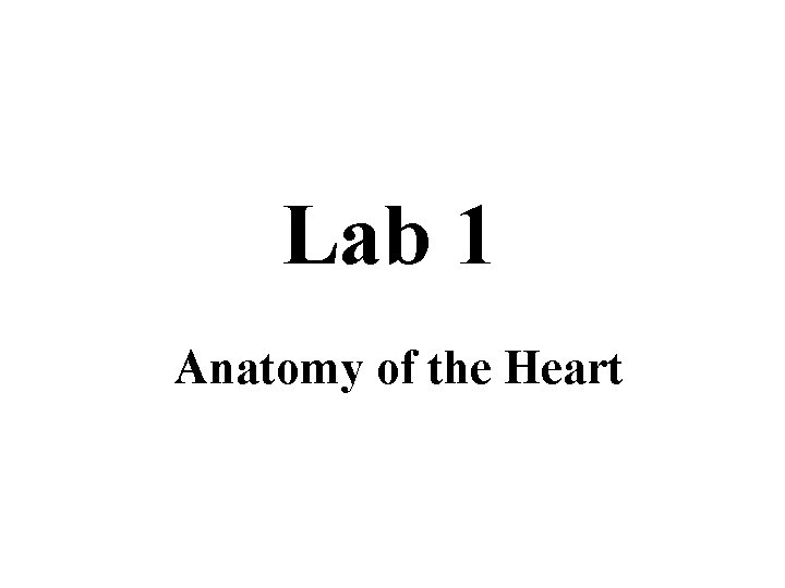 Lab 1 Anatomy of the Heart 