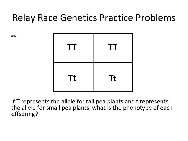 Relay Race Genetics Practice Problems #4 TT TT Tt Tt If T represents the