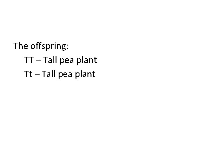 The offspring: TT – Tall pea plant Tt – Tall pea plant 