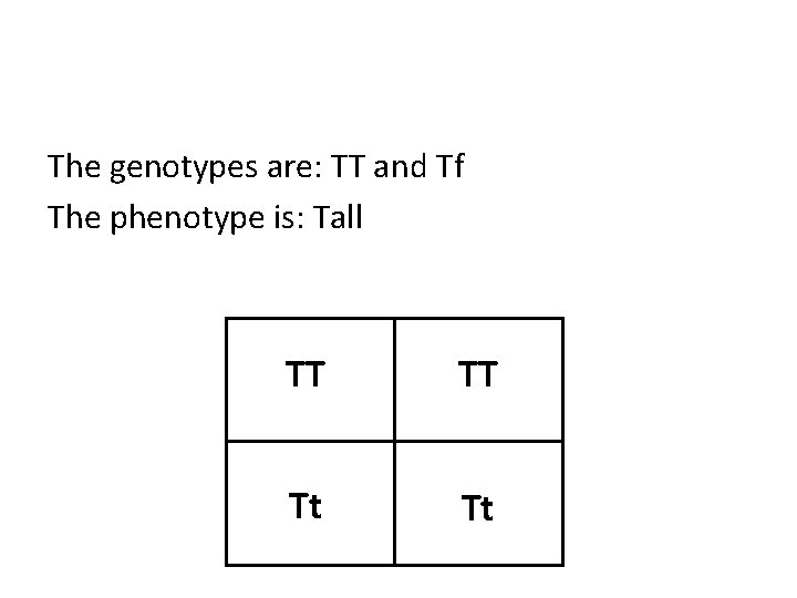 The genotypes are: TT and Tf The phenotype is: Tall TT TT Tt Tt