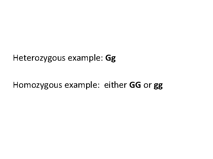 Heterozygous example: Gg Homozygous example: either GG or gg 