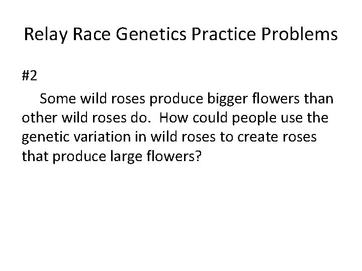 Relay Race Genetics Practice Problems #2 Some wild roses produce bigger flowers than other
