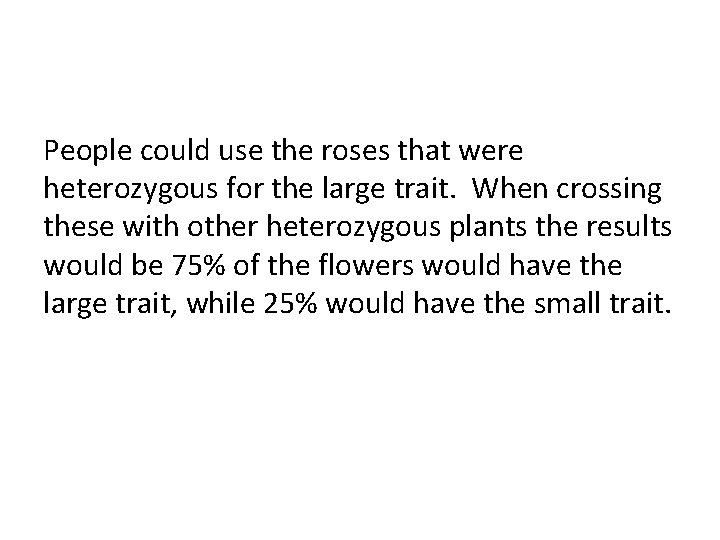 People could use the roses that were heterozygous for the large trait. When crossing