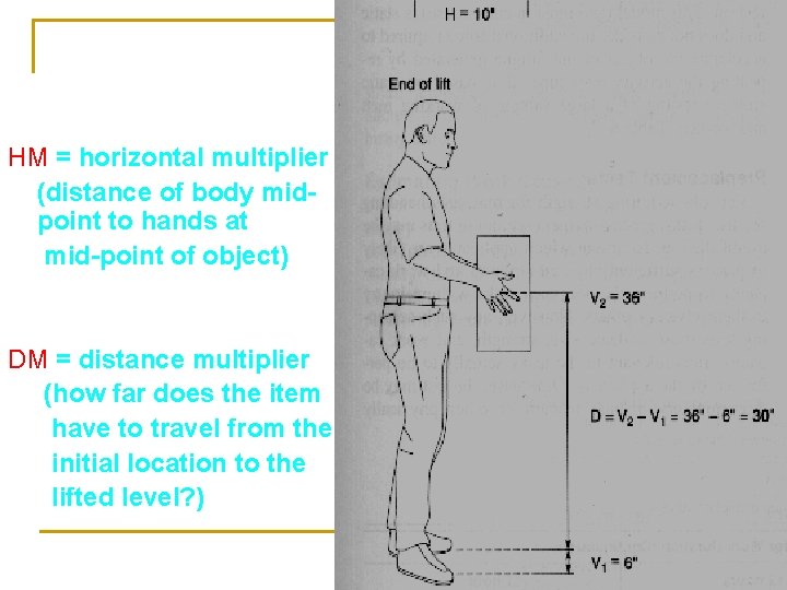 HM = horizontal multiplier (distance of body midpoint to hands at mid-point of object)