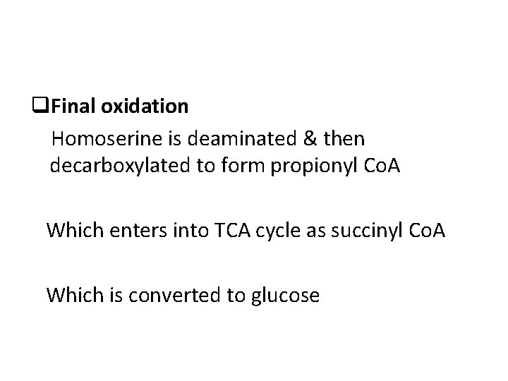 q. Final oxidation Homoserine is deaminated & then decarboxylated to form propionyl Co. A