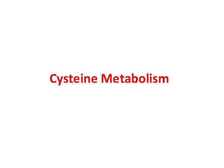  Cysteine Metabolism 