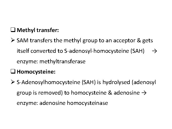 q Methyl transfer: Ø SAM transfers the methyl group to an acceptor & gets