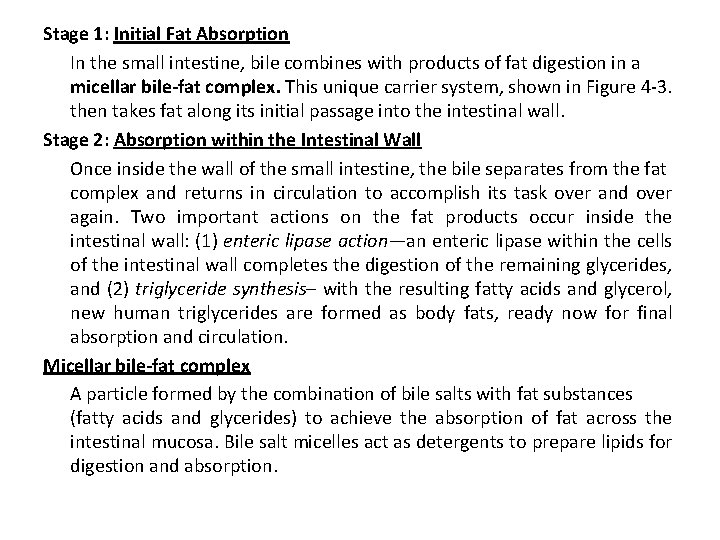 Stage 1: Initial Fat Absorption In the small intestine, bile combines with products of