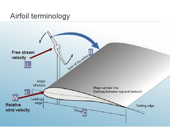 Airfoil terminology R Free stream velocity U∞ W α Relative wind velocity C 