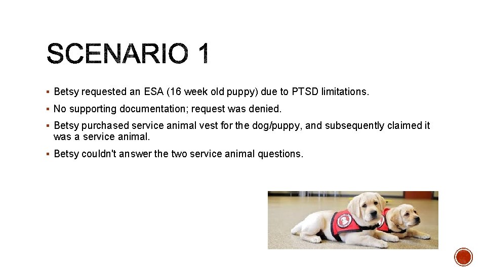 § Betsy requested an ESA (16 week old puppy) due to PTSD limitations. §