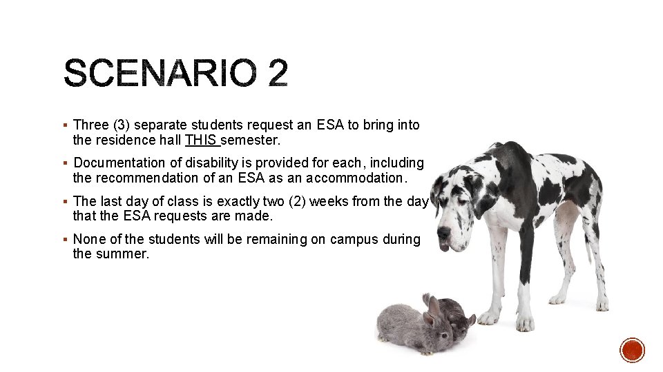 § Three (3) separate students request an ESA to bring into the residence hall