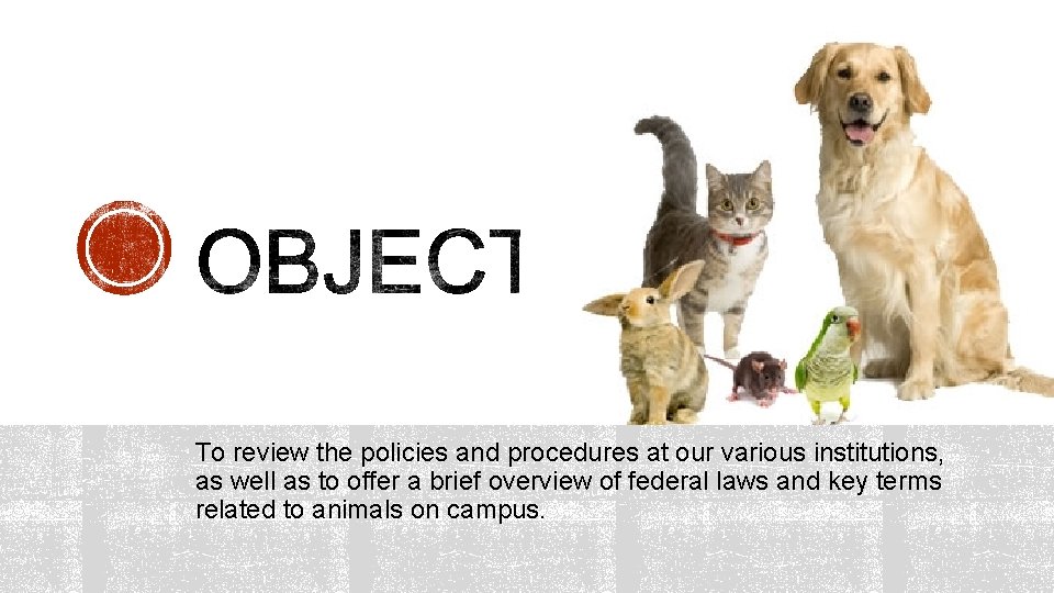 To review the policies and procedures at our various institutions, as well as to