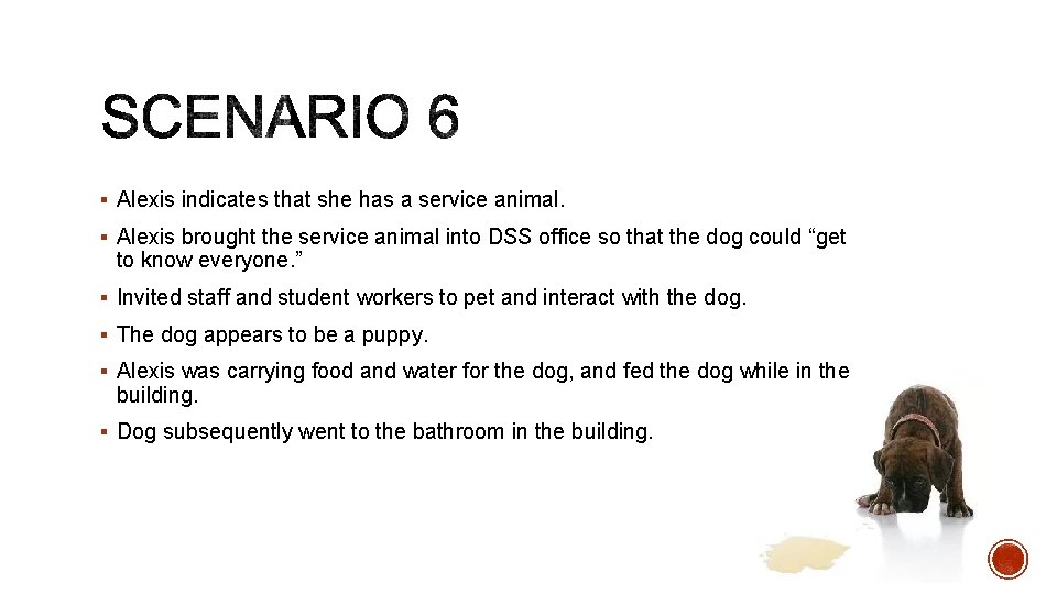 § Alexis indicates that she has a service animal. § Alexis brought the service