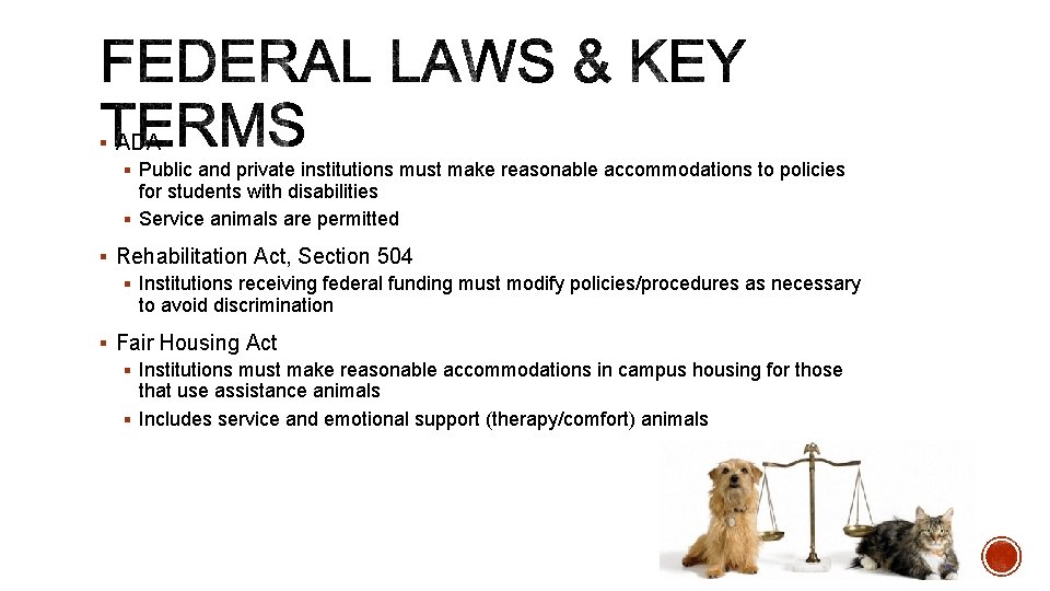 § ADA § Public and private institutions must make reasonable accommodations to policies for