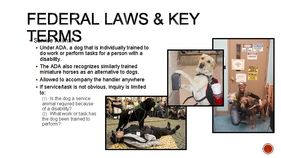 § Service Animal § Under ADA, a dog that is individually trained to do