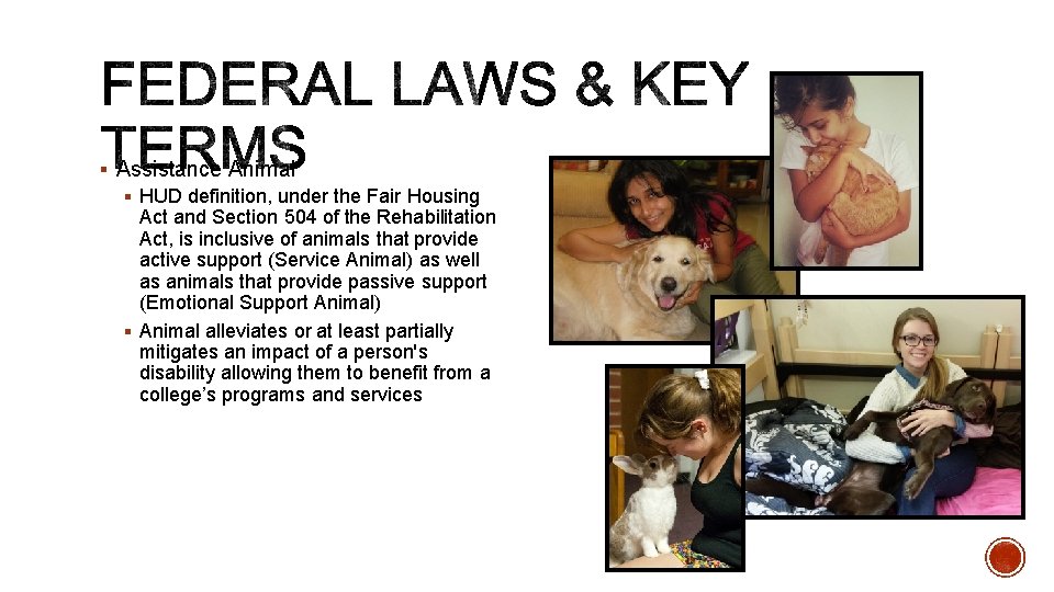 § Assistance Animal § HUD definition, under the Fair Housing Act and Section 504