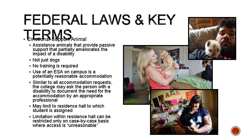 § Emotional Support Animal § Assistance animals that provide passive support that partially ameliorates