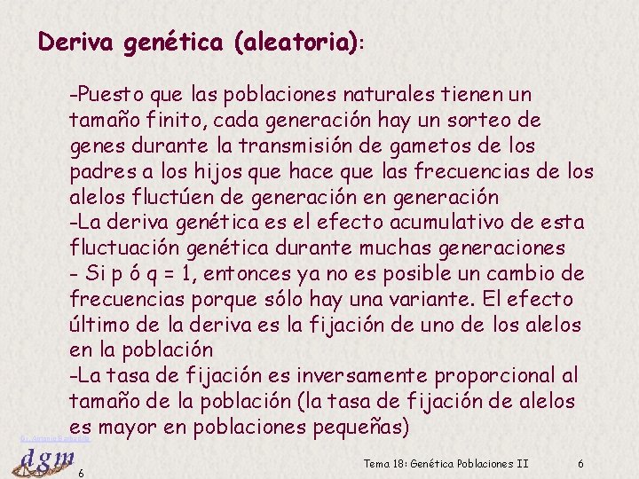 Deriva genética (aleatoria): -Puesto que las poblaciones naturales tienen un tamaño finito, cada generación