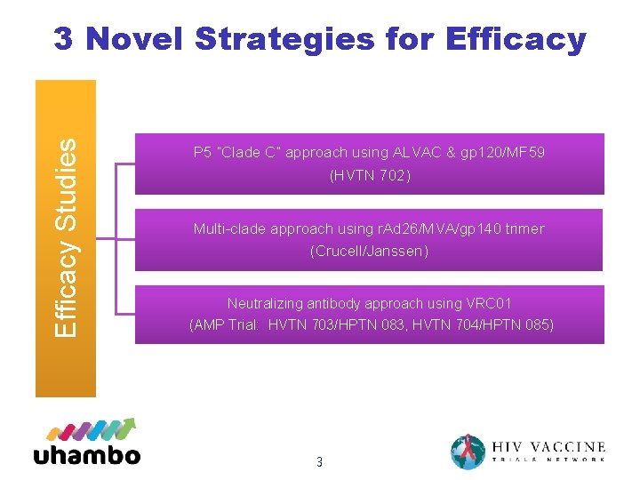 Efficacy Studies 3 Novel Strategies for Efficacy P 5 “Clade C” approach using ALVAC