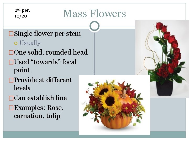 2 nd per. 10/20 Mass Flowers �Single flower per stem Usually �One solid, rounded