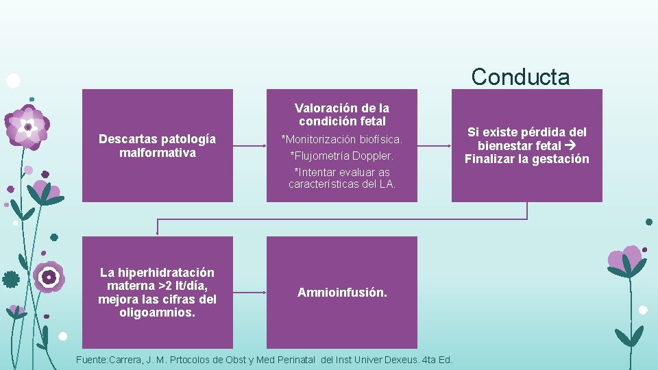 Conducta Valoración de la condición fetal Descartas patología malformativa La hiperhidratación materna >2 lt/día,