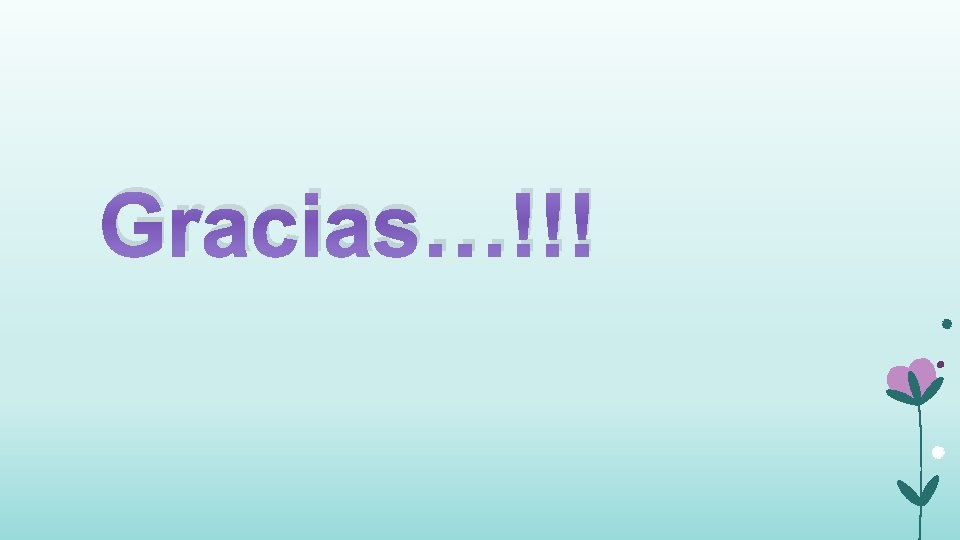 Gracias…!!! 