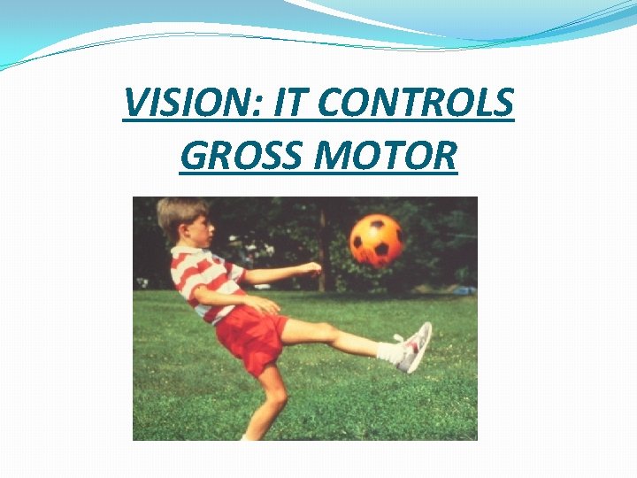 VISION: IT CONTROLS GROSS MOTOR 