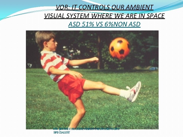 VOR: IT CONTROLS OUR AMBIENT VISUAL SYSTEM WHERE WE ARE IN SPACE ASD 51%