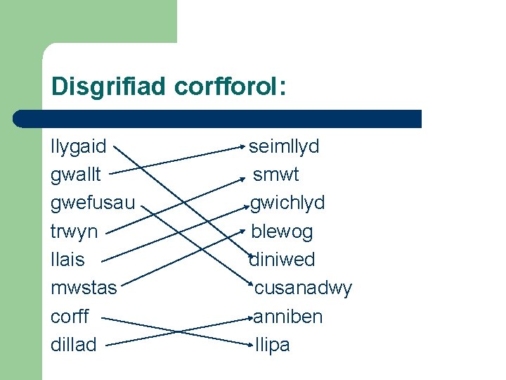 Disgrifiad corfforol: llygaid gwallt gwefusau trwyn llais mwstas corff dillad seimllyd smwt gwichlyd blewog