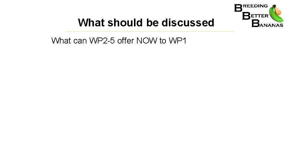 What should be discussed What can WP 2 -5 offer NOW to WP 1