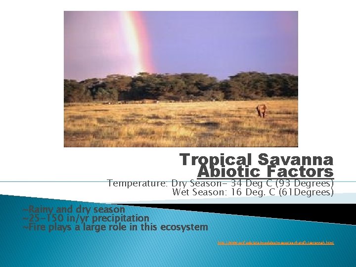 Tropical Savanna Abiotic Factors Temperature: Dry Season- 34 Deg C (93 Degrees) Wet Season: