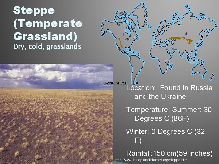 Steppe (Temperate Grassland) Dry, cold, grasslands Location: Found in Russia and the Ukraine Temperature: