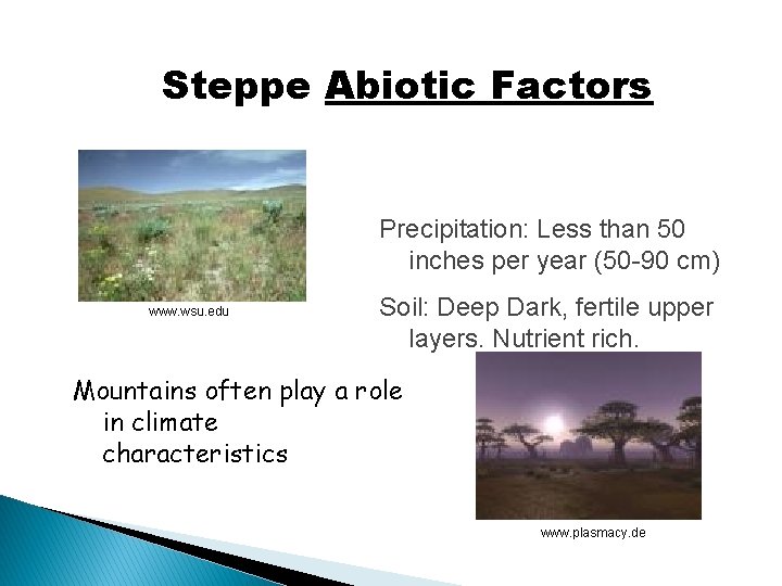 Steppe Abiotic Factors Precipitation: Less than 50 inches per year (50 -90 cm) www.