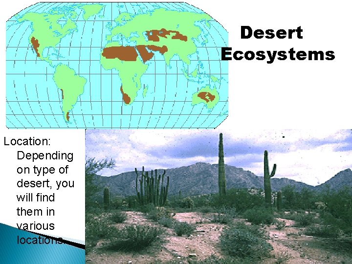 Desert Ecosystems Location: Depending on type of desert, you will find them in various