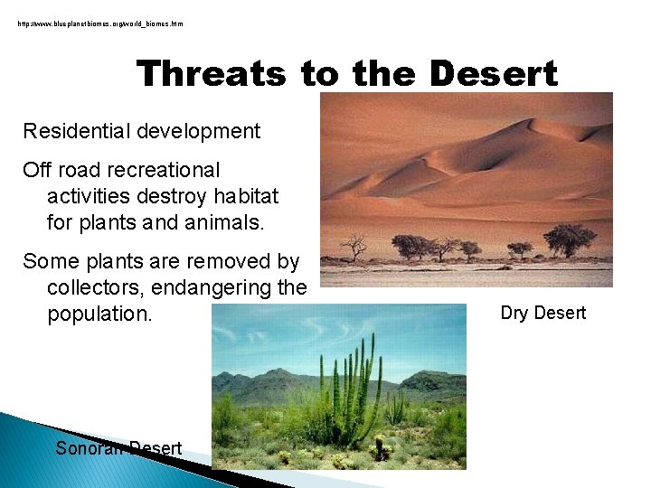 http: //www. blueplanetbiomes. org/world_biomes. htm Threats to the Desert Residential development Off road recreational