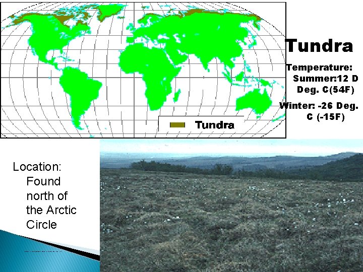 Tundra Temperature: Summer: 12 D Deg. C(54 F) Winter: -26 Deg. C (-15 F)